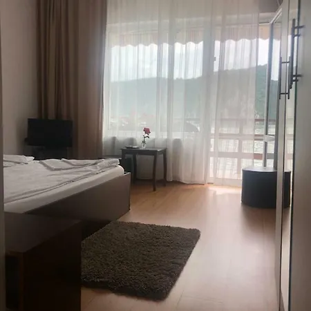 Casa Adrian Guest house Eselnita